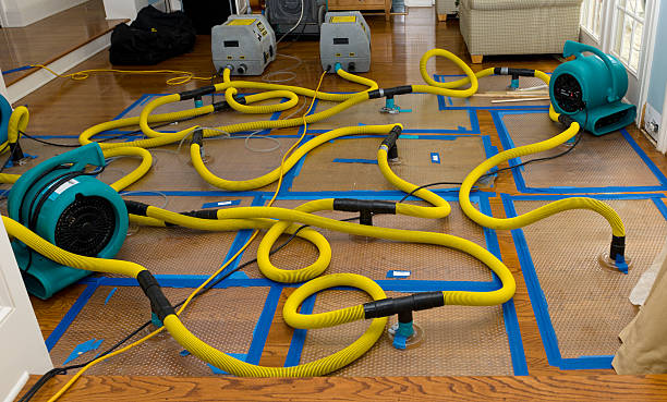 Professional Flood Damage Restoration technician working in Alexandria, LA